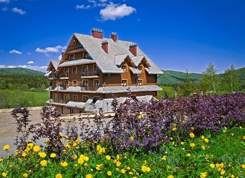 Carpatia Bieszczadzki Gosciniec Готель 3*